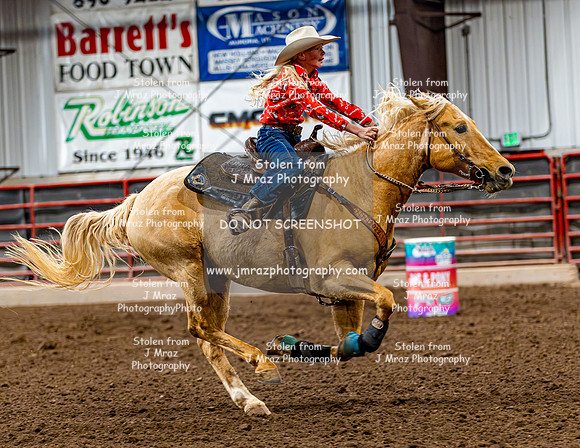 SatDog&PonyShow-May-JMrazPhotography-395