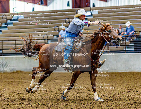 QueenOfHearts-2026-Sun-JMrazPhotography-2080