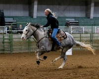 Amateur Horse