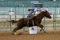 $4000 Horse