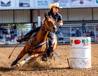 Futurity Showcase