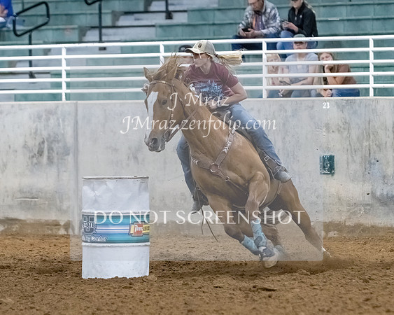 _MG_0462