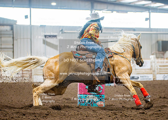 Dog&PonyShow-SaturdayAwards-1104