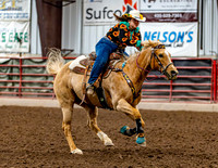 SatDog&PonyShow-May-JMrazPhotography-77
