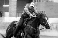 _MG_0462