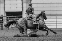 _MG_0419