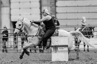 _MG_0335
