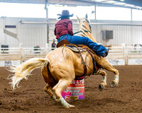 SatDog&PonyShow-May-JMrazPhotography-1085