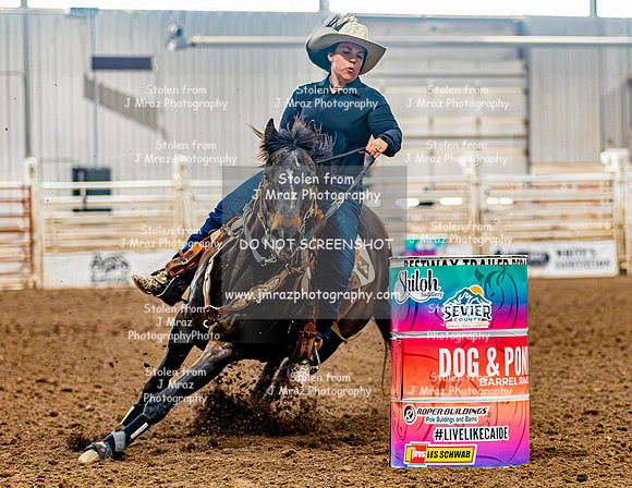 SatDog&PonyShow-May-JMrazPhotography-577
