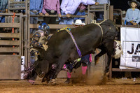 RMPRA-Genola-2024-JMrazPhotography-bullriding-8