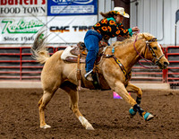 SatDog&PonyShow-May-JMrazPhotography-78