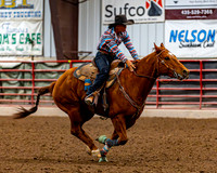 SatDog&PonyShow-May-JMrazPhotography-1846