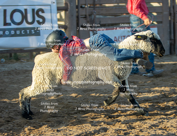 RMPRA-Genola-2024-JMrazPhotography-MuttonBusting-30