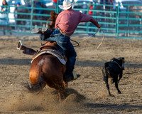 Tie Down Roping