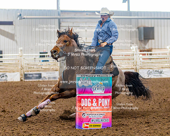 SatDog&PonyShow-May-JMrazPhotography-967