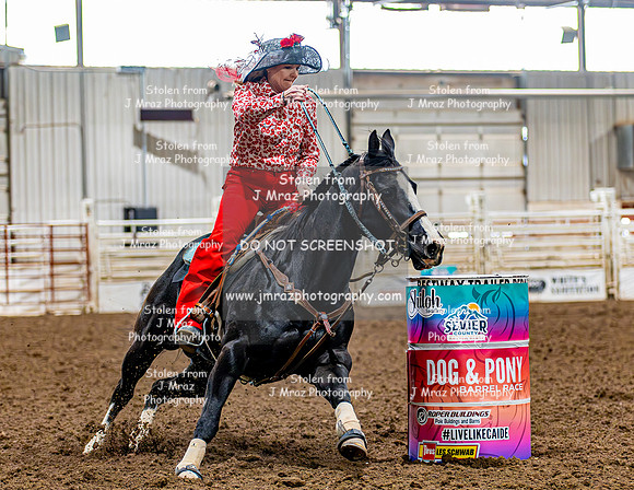 SatDog&PonyShow-May-JMrazPhotography-91