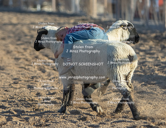 RMPRA-Genola-2024-JMrazPhotography-MuttonBusting-37