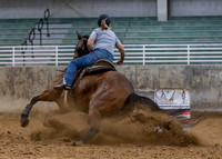 _MG_0781-Enhanced-NR