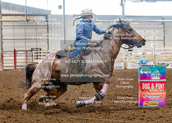 SatDog&PonyShow-May-JMrazPhotography-968
