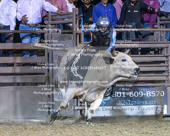 RMPRA-Genola-2024-JMrazPhotography-bullriding-68