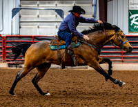 SatDog&PonyShow-May-JMrazPhotography-796