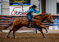 Dog&PonyShow-SaturdayAwards-864