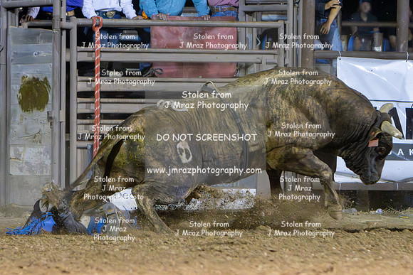 RMPRA-Genola-2024-JMrazPhotography-bullriding-95