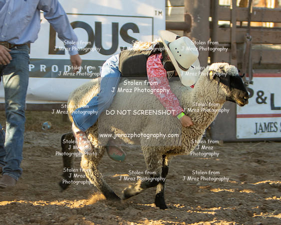 RMPRA-Genola-2024-JMrazPhotography-MuttonBusting-26