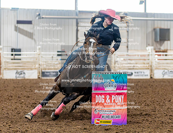 SatDog&PonyShow-May-JMrazPhotography-347
