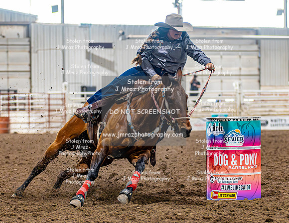 SatDog&PonyShow-May-JMrazPhotography-407