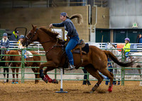 _MG_0016-Enhanced-NR