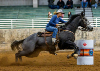 _MG_0659-Enhanced-NR