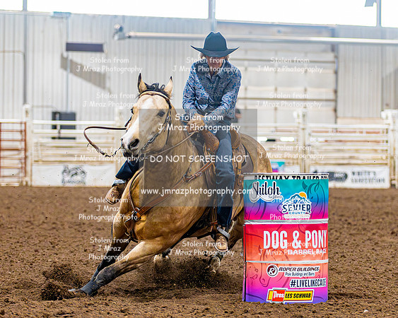 SatDog&PonyShow-May-JMrazPhotography-1219