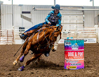 SatDog&PonyShow-May-JMrazPhotography-66
