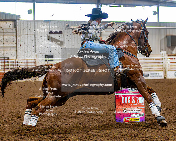 SatDog&PonyShow-May-JMrazPhotography-1798