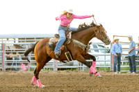 Tooele County Fair