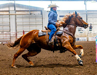 SatDog&PonyShow-May-JMrazPhotography-743