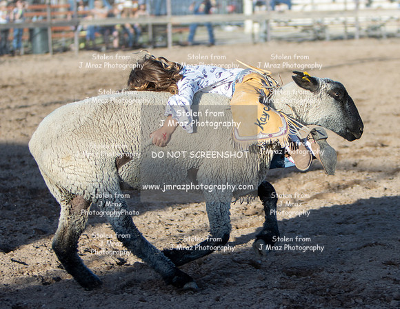 RMPRA-Genola-2024-JMrazPhotography-MuttonBusting-27