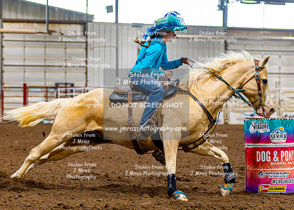 SatDog&PonyShow-May-JMrazPhotography-1863
