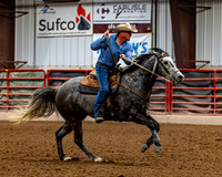 SatDog&PonyShow-May-JMrazPhotography-1914
