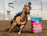SatDog&PonyShow-May-JMrazPhotography-331