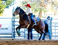 2023_LVPatriot_Barrel Racing_JMrazPhotography-170