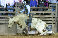 RMPRA-Genola-2024-JMrazPhotography-bullriding-65