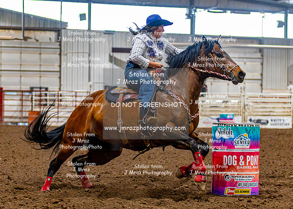 SatDog&PonyShow-May-JMrazPhotography-1801