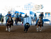 9.5 Any Age Roping