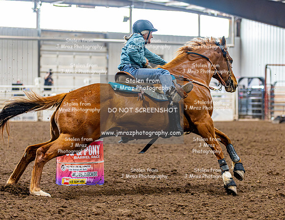 SatDog&PonyShow-May-JMrazPhotography-266