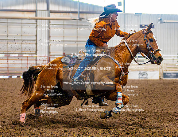 SatDog&PonyShow-May-JMrazPhotography-690