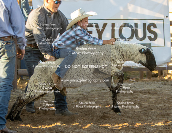 RMPRA-Genola-2024-JMrazPhotography-MuttonBusting-33