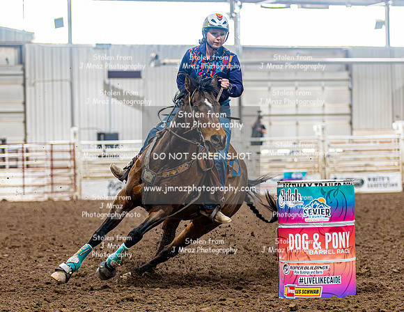 SatDog&PonyShow-May-JMrazPhotography-396