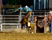 TooeleCountyRodeo-JMrazPhotography-Tiedown-3
